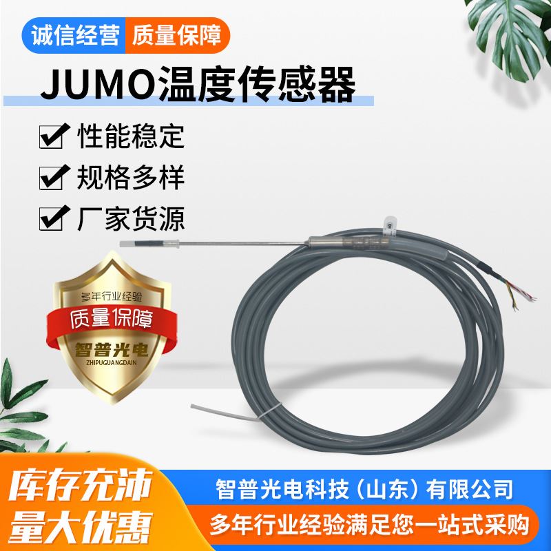 JUMo温度传感器防水防腐高精度JUMo温度传感器探头 全屋定制 感温探头 原图主图