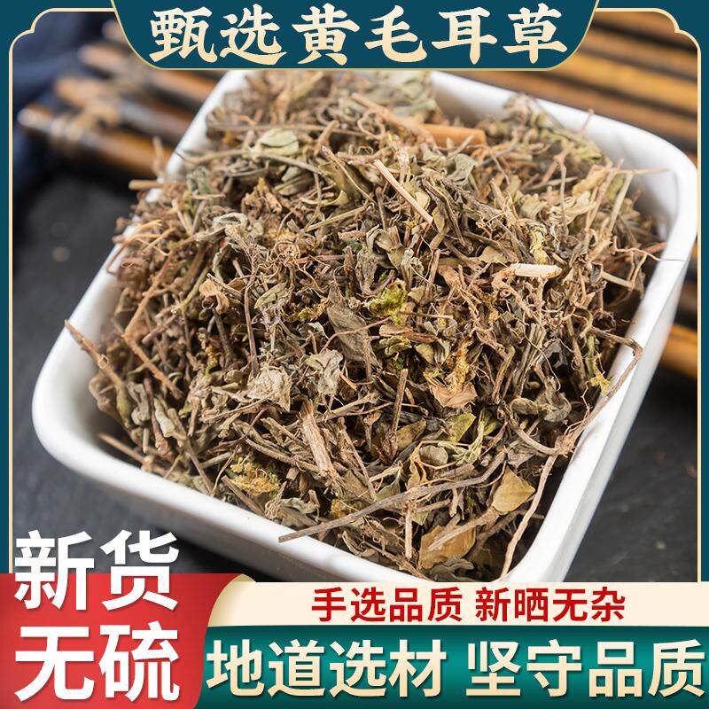 黄毛耳草500g克 天然野生纯黄毛儿草虎耳草 耳朵红老虎草
