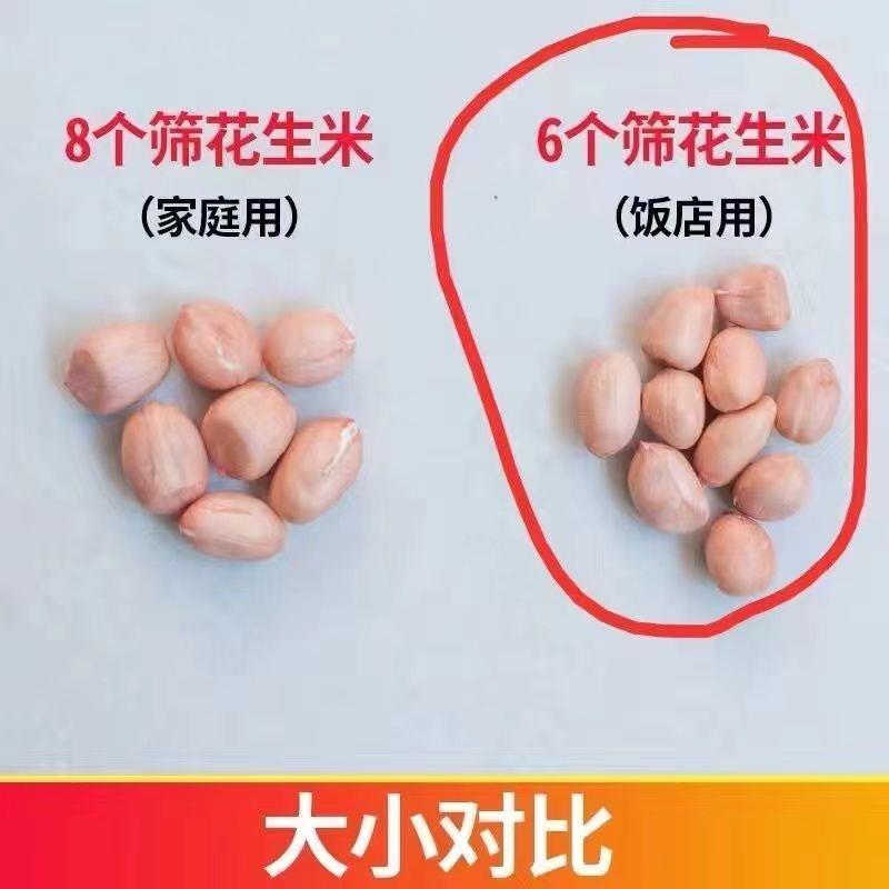 【5斤特价包邮】现剥新花生米新货粉皮新鲜大粒榨油白沙花生袋装
