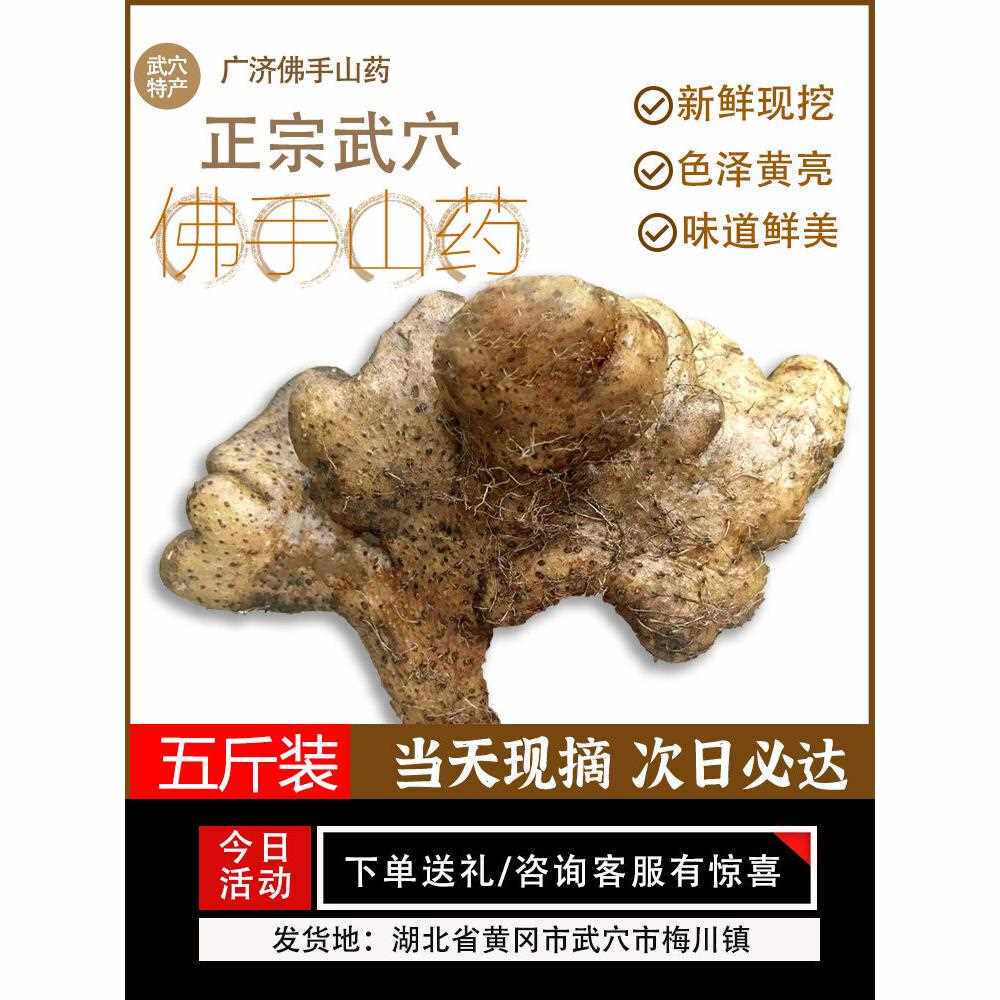 武穴佛手山药特产营养补品农家自种黄冈特产新鲜山药5斤