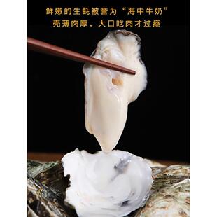 广东湛江官渡生蚝肉 新鲜现货 1斤 牡蛎货礼品清蒸煲汤500g小母亲