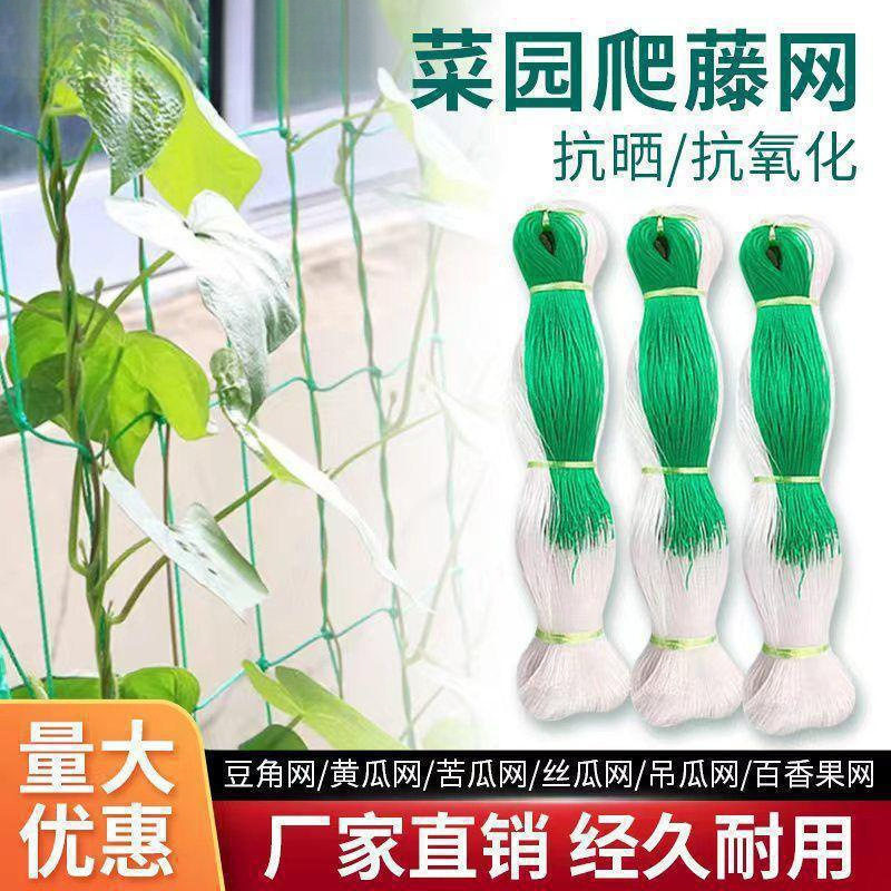 农用爬藤网山药黄瓜豌豆苦瓜豆角