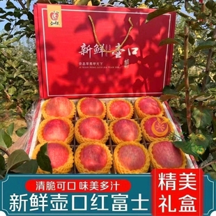 壶口苹果新鲜红富士脆甜不打蜡孕妇脆甜苹果冰糖心产自陕西吉县