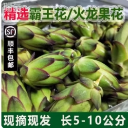 霸王花 新鲜火龙果花炖汤煲汤酒店特色食材蔬菜花苞加冰发货 现摘
