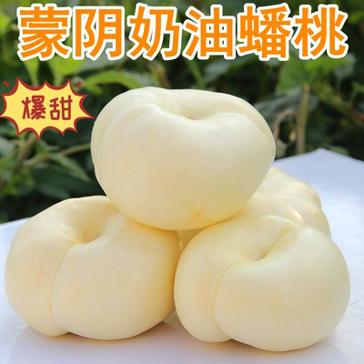 2025蒙阴蜜桃现摘现发奶油蟠桃应季新鲜水果香甜多汁孕妇白扁桃子