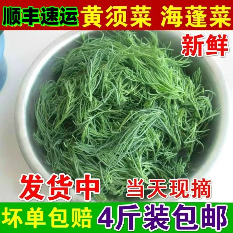 冷冻黄须菜新鲜山东盐碱蓬菜当季野菜饺子馅黄西菜黄茎菜,水产肉类/新鲜蔬果/熟食,莼菜,淘宝优惠券,粉丝福利购,淘宝优惠卷