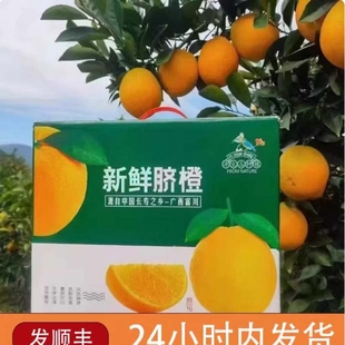 脐橙整箱礼盒大果10斤装自家橙子新鲜水果包邮产自广西富川