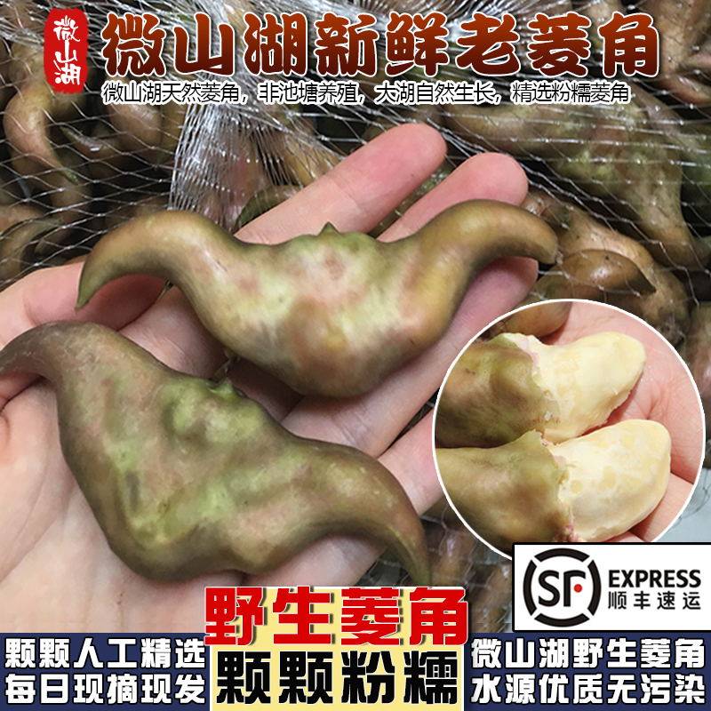 微山湖特产野生老菱角粉糯新鲜菱角现摘带壳黑棱角青菱角米发顺丰