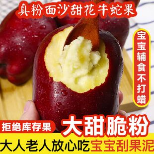 蛇果新鲜10斤整箱婴儿宝宝老人粉面沙甜苹果包邮大果孕妇水果脆甜