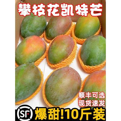 四川攀枝花凯特芒果新鲜10应季斤水果芒果整箱包邮特大青忙果当季