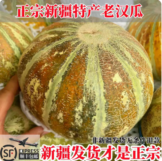 正宗新疆吐鲁番老汉瓜当季新鲜采摘水果一箱密瓜原产地发货顺丰