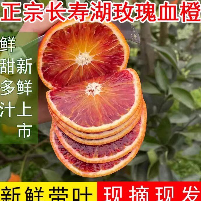 正宗重庆长寿湖血橙塔罗科血脐红心玫瑰香橙新鲜现摘水果整箱18斤