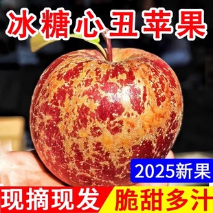四川甘孜泸定康定黄草坪高原特产正宗糖心苹果精品中大果送礼佳品