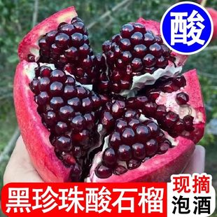 发 包邮 四川新鲜黑珍珠酸石榴新鲜孕妇水果酸味石榴泡酒当季 整箱