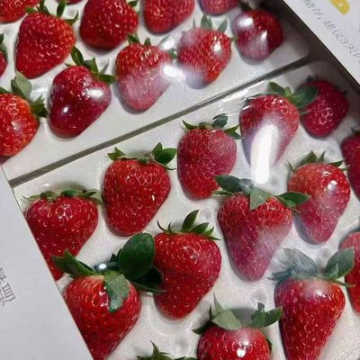顺丰香悦莓小白箱二合一礼盒装颗颗精选香甜可口