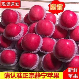 甘肃静宁红富士苹果脆甜多汁冰糖心新鲜孕妇水果产地直发10斤包邮