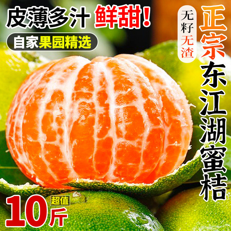 正宗东湖江蜜桔10斤新鲜桔子酸甜孕妇水果当季青皮无籽蜜橘子柑橘