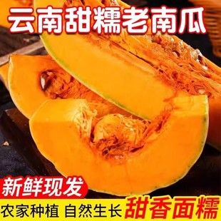 老南瓜新鲜蜜本南瓜软糯香甜云南老品种南瓜宝宝辅食农家自种蔬菜