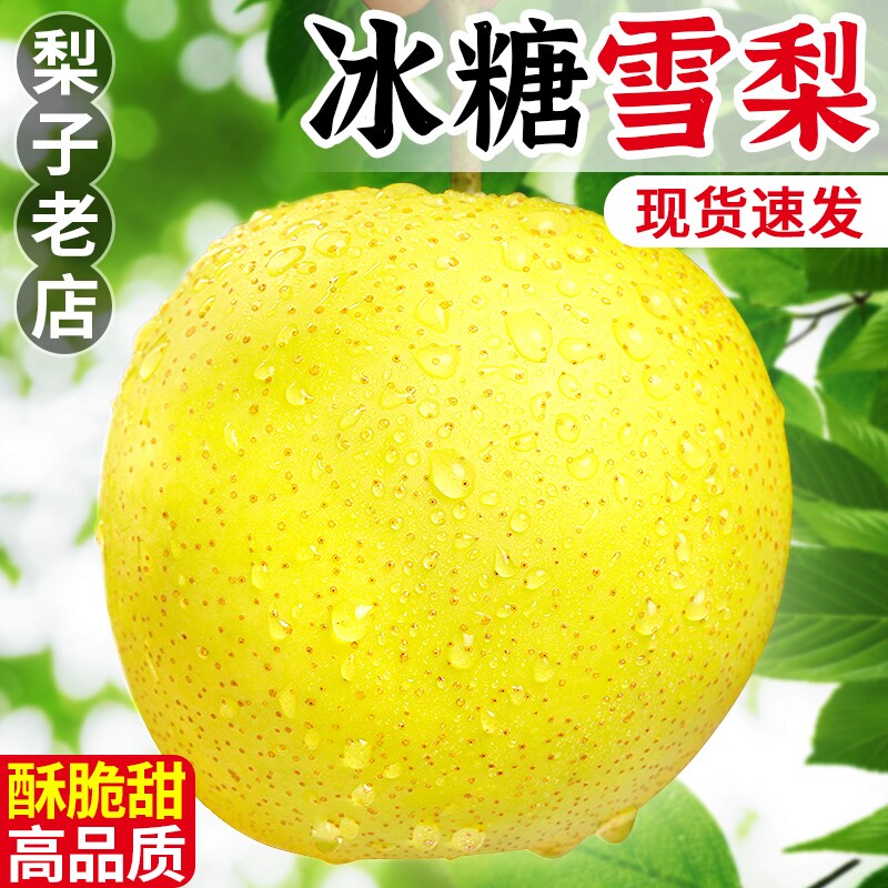 新鲜冰糖雪梨10斤应当季水果正宗黄冠梨脆甜产地砀山孕妇整箱包邮