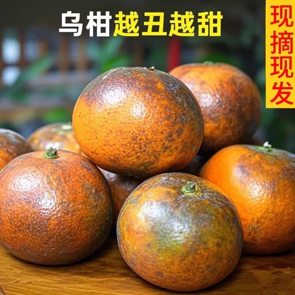 超甜乌柑沃柑正宗水果大果柑橘新鲜直发应季当季薄皮桔子整箱批发,水产肉类/新鲜蔬果/熟食,桔子,淘宝优惠券,粉丝福利购,淘宝优惠卷