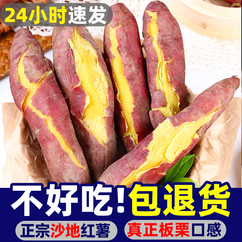 当天发货现挖陕西新鲜板栗红薯图片