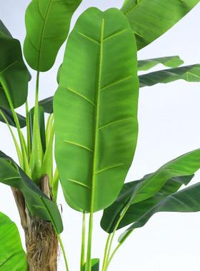 北欧型仿真蕉树绿植sx11246盆栽 大家居厅香客蕉树芭仿真植物园艺
