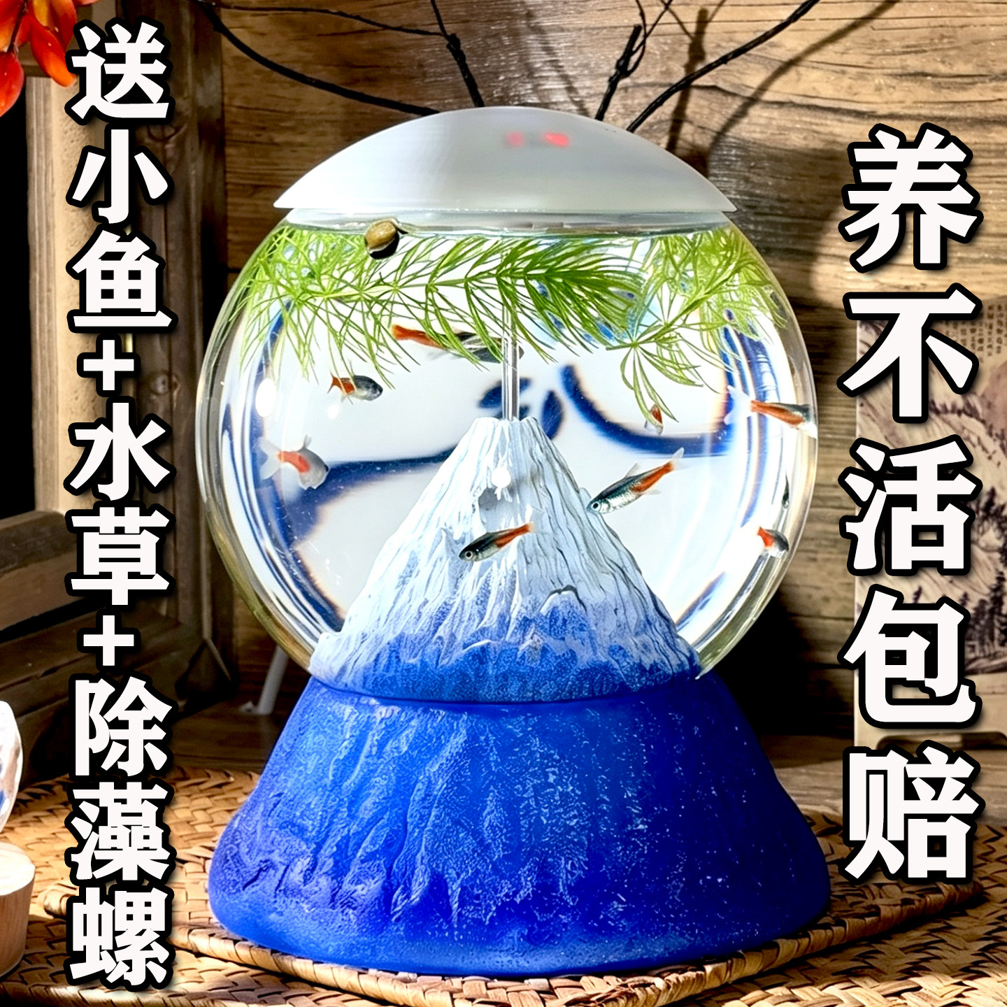办公室工位生态瓶懒人免造景内置过滤桌面专业级小鱼缸免打理省心