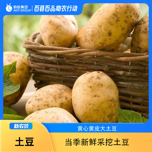 百县百品20新鲜土豆蔬菜马铃薯洋芋黄皮黄心新鲜整箱