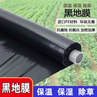 黑色地膜农用种菜园保温保湿防长草种植玉米草莓农田除草塑料薄膜