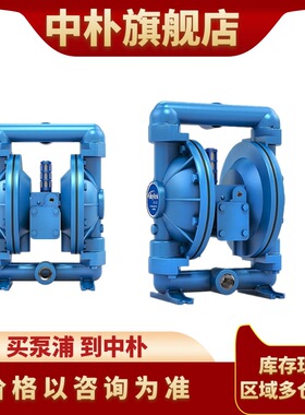 原装斯凯力气动隔膜泵LS25 AA-AA-NE-PP-NE-00 造纸厂污水排污泵