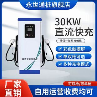 新能源电动汽车国美欧标直流快充桩40KW60KW120KW160KW通商用柱柜