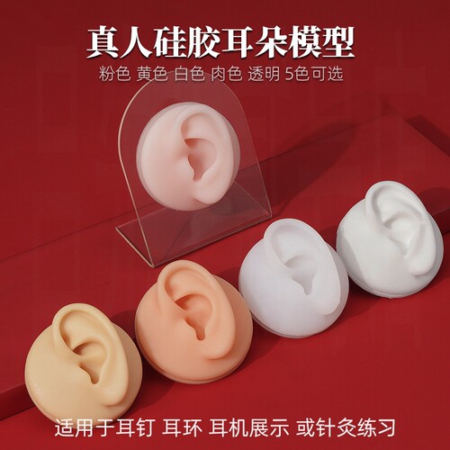 硅胶耳朵模型仿真人耳耳钉耳环展示饰品展示支架穿刺穿孔纹身练习