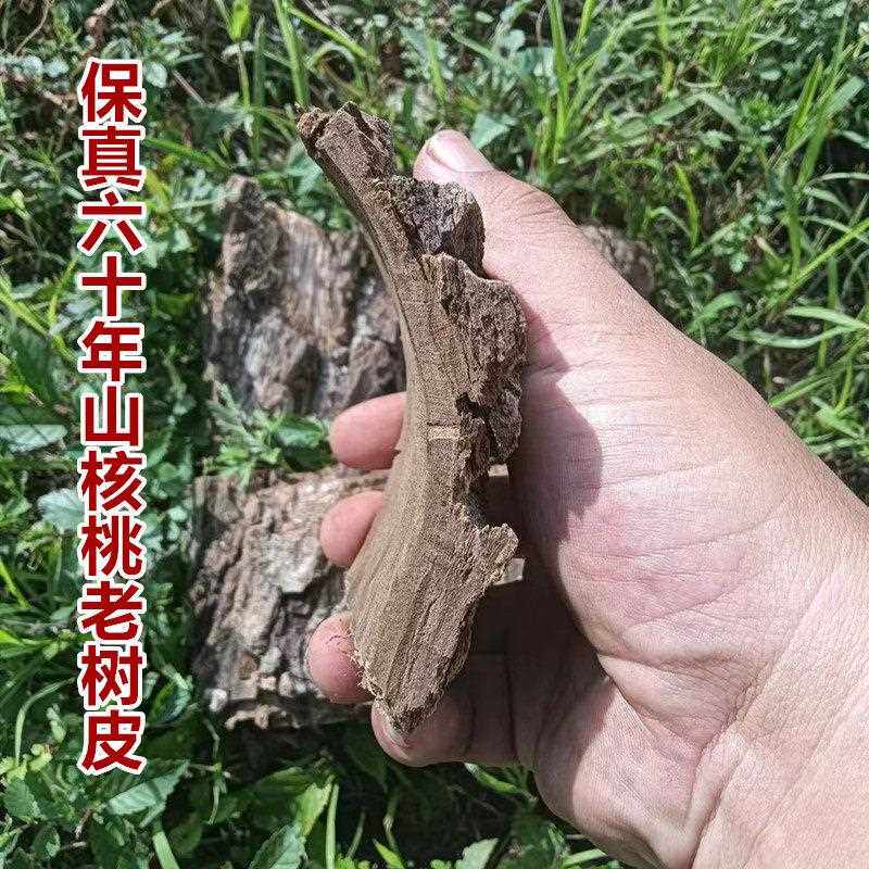 东北长白野生山核桃树皮东北山胡桃皮包邮核桃树枝皮秋子树皮