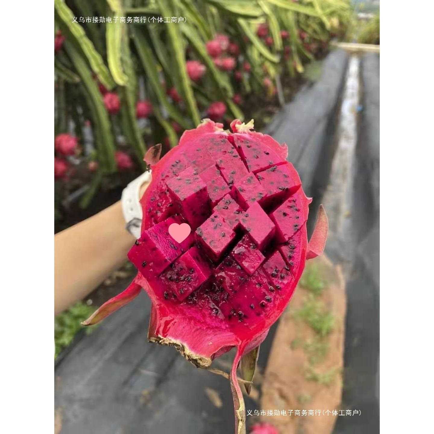 邮都一号火龙果红心整箱新鲜斤包果红肉当季水果大广金西现摘
