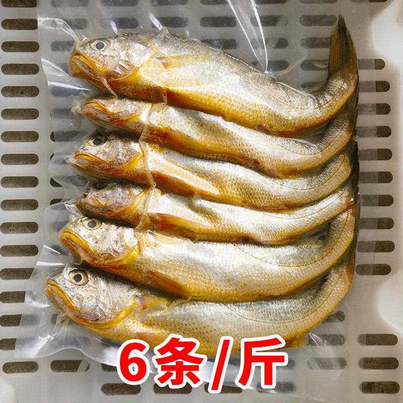 【新鲜冷冻】舟山野生细鳞小黄鱼浙江宁波象山小黄花鱼非冰鲜鲜活
