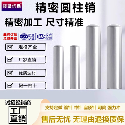 模聚优品20CR模具圆柱销钉