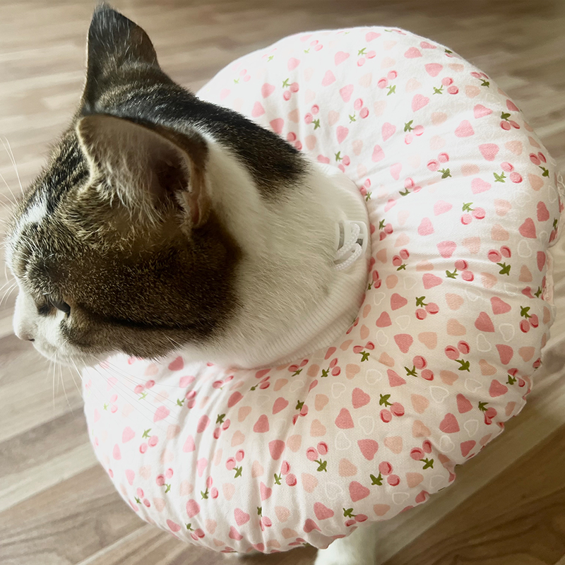 猫咪狗狗绝育防舔耻辱软圈保护套脖圈脖套可爱水果宠物伊丽莎白圈