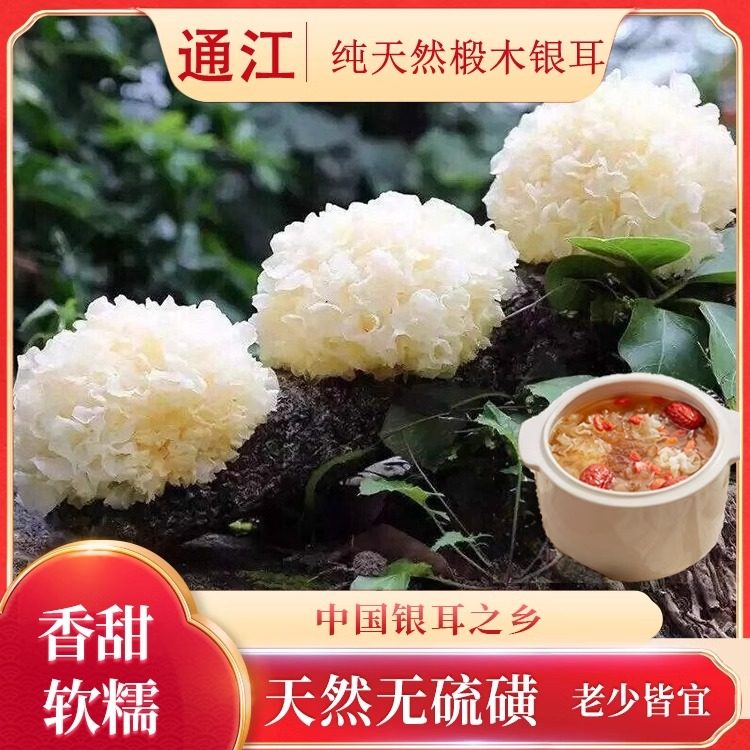 天然椴木银耳干货无硫通江特级野生正宗出胶雪耳糯耳丑耳孕妇送礼