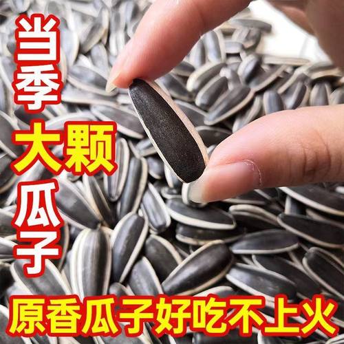 ！新疆包邮西藏生瓜子新货原味熟葵花大颗粒散装新鲜毛磕孕妇零食