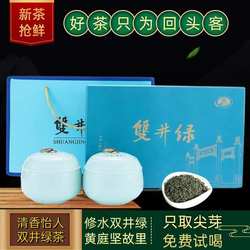 .江西双井绿茶新茶明前炒青春茶修水原产地耐泡陶瓷罐装高档礼盒