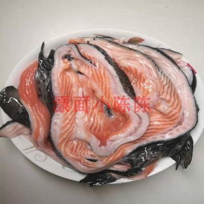 生酮三文鱼块边角料美味1000g腩排腹条海鲜营养香煎油炸炖汤食材