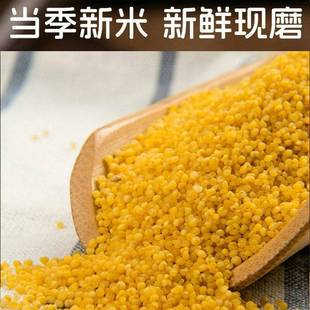 .正宗章丘龙山小米黄小米新米袋装山里农家月子小米粥章丘特产5斤