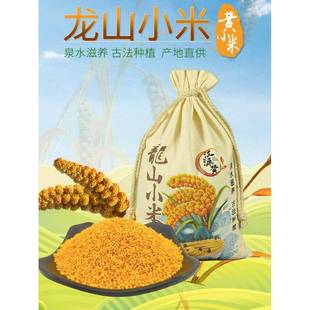 .黄小米新米章丘龙山小米5斤袋装优质农家小米粥章丘特产龙山贡米