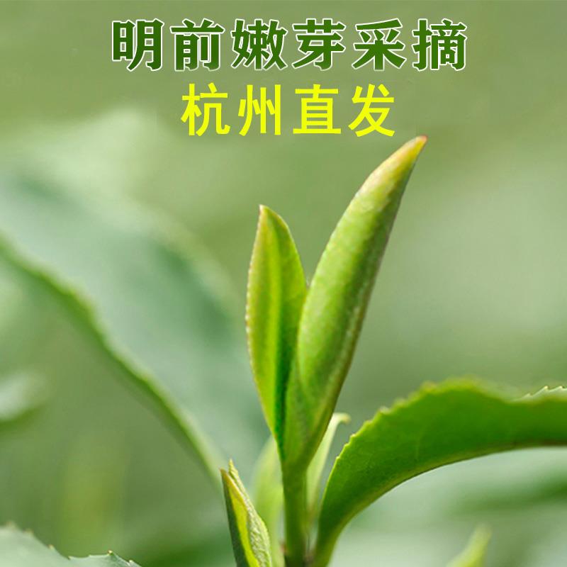 .杭州龙井茶43号2025新茶绿茶叶正宗明前特一级豆香浓香西湖小包