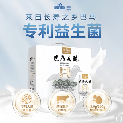 广西巴马天醇酸奶205MLx12盒