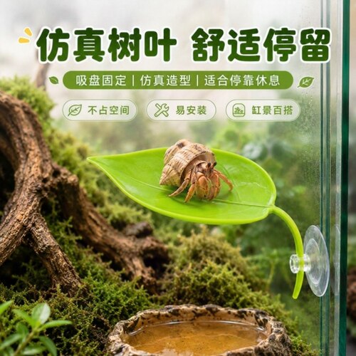 寄居蟹休息叶片吸盘固定爬宠缸装饰平台仿真树叶攀爬用品造景配件