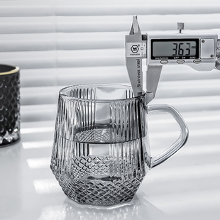 精选套装玻璃杯2024新款女家用餐厅待客高级感轻奢带把手耐高温喝