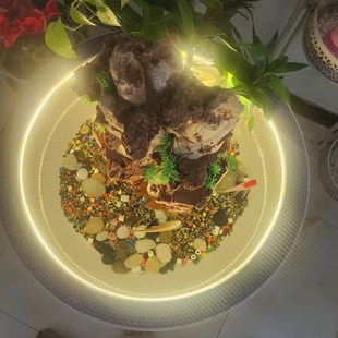 精选鱼缸专用灯带防水 古法养鱼led灯条自粘超亮免驱动带开关泡水