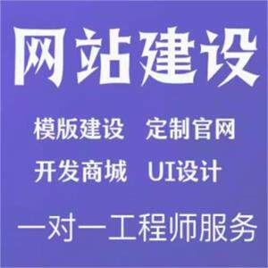 企业网站设计网站定制开发网站推广网站运营网站搭建网站建设公司