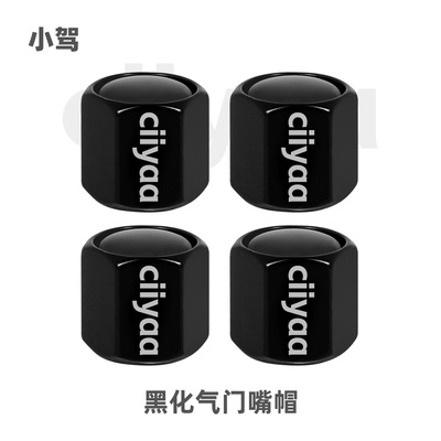小驾ciiyaa 黑化气门嘴帽
